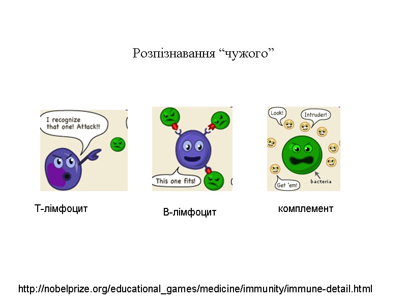 Розпізнавання “чужого” http://nobelprize.org/educational_games/medicine/immunity/immune-detail.html Т-лімфоцит В-лімфоцит комплемент